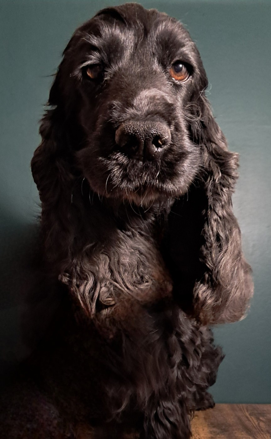 Ruby du domaine de sainte gladyce