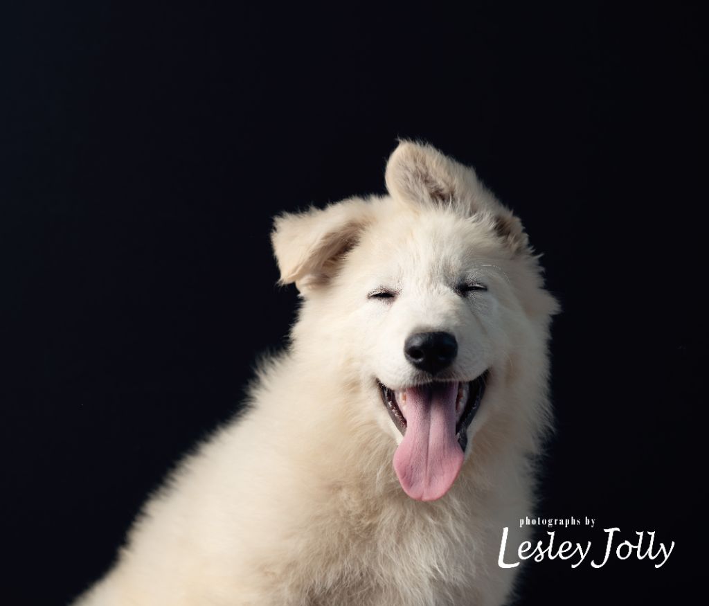 Collier rouge - Amos